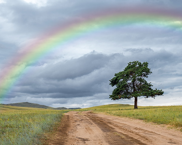 Regenbogen