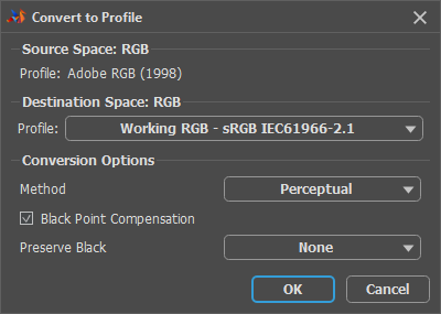 Convert to Profile Dialog