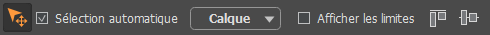 Options de l'outil Déplacement