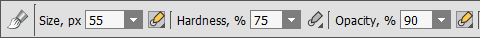 Assigning Several Parameters to the Stylus Option