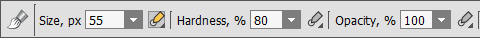 Assigning the Parameter to the Stylus Option