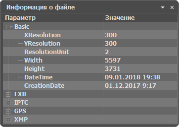 Панель Информация о файле