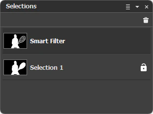 Selection Panel