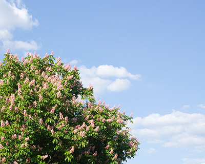 Hellblauer Himmel