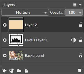 Layers Panel