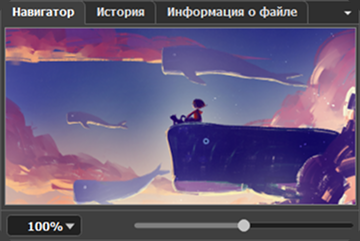 navi_lang